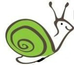 escargot vert 2