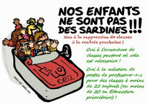 sardines mini