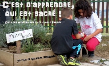 Afficher l'image d'origine