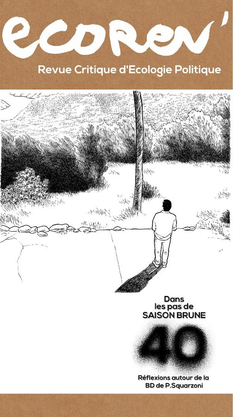 Images intégrées 1