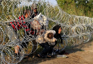 migrants barbelés bébés