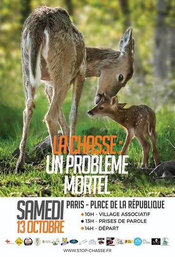 http://www.association-oiseaux-nature.com/wp-content/uploads/2018/09/Affiche-La-chasse-un-probl%C3%A8me-mortel-Manisfestation-le-13-octobre-2018.jpg