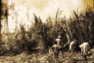 Une image du film documentaire français de Camille Mauduech, "Les 16 de Basse-Pointe".